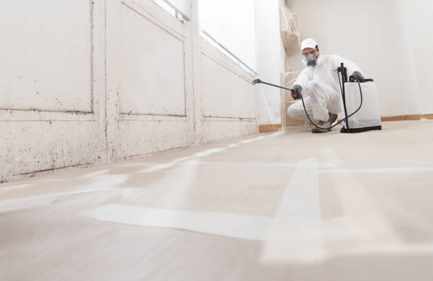 24/7 Emergency Commercial Mold Remediation experts in Durham, NC