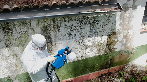 Top rated local Commercial Mold Remediation specialists in Durham, NC